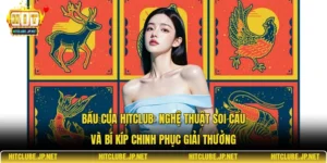 Bầu cua Hitclub: Nghệ thuật soi cầu và bí kíp chinh phục giải thưởng