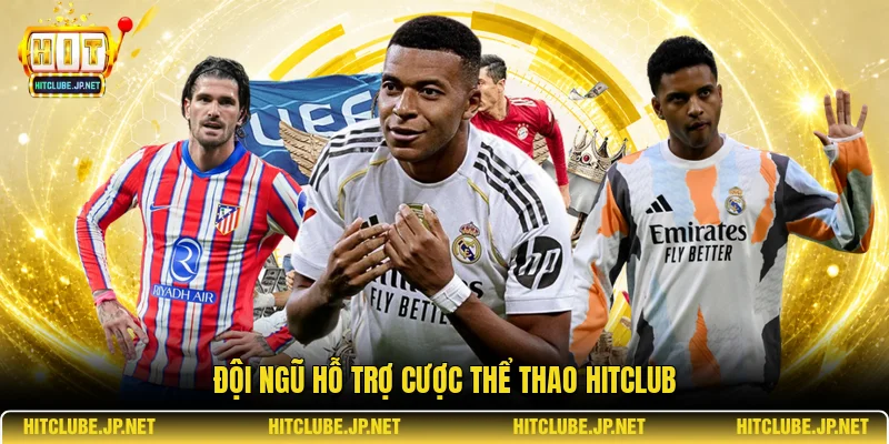 Đội ngũ hỗ trợ cược thể thao Hitclub